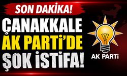 SON DAKİKA: Çanakkale AK Parti'de Şok İstifa!