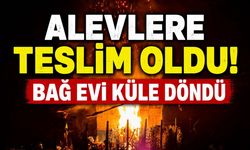 Alevlere Teslim Oldu! Bağ Evi Küle Döndü