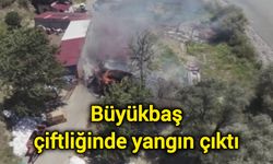 Büyükbaş çiftliğinde yangın çıktı