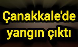 Çanakkale'de yangın çıktı