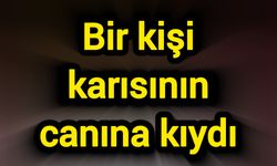 Bir kişi karısının canına kıydı