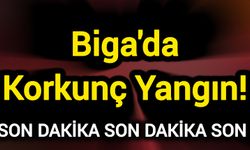 Son Dakika: Biga'da korkunç yangın!