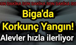 Biga'da Korkunç Yangın! Alevler hızla ilerliyor