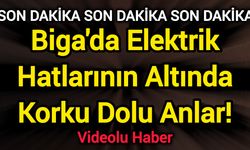 Biga'da Elektrik Hatlarının Altında Korku Dolu Anlar!