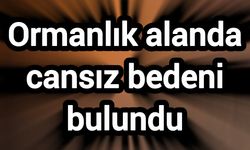Ormanlık alanda cansız bedeni bulundu