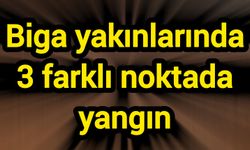 Biga yakınlarında 3 farklı noktada yangın