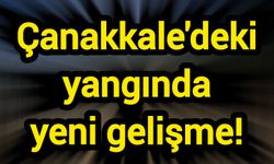 Çanakkale'deki yangında yeni gelişme!