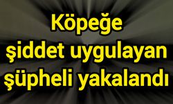 Köpeğe şiddet uygulayan şüpheli yakalandı
