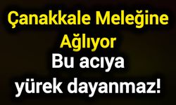 Çanakkale Meleğine Ağlıyor! Bu acıya yürek dayanmaz