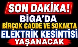 SON DAKİKA: Biga'da Birçok Cadde ve Sokakta Elektrik Kesintisi Yaşanacak