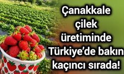 Çanakkale çilek üretiminde Türkiye’de bakın kaçıncı sırada!