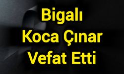 Bigalı Koca Çınar Vefat Etti
