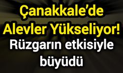 Çanakkale’de Alevler Yükseliyor! Rüzgarın etkisiyle büyüdü