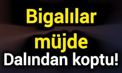 Bigalılar müjde: Dalından koptu!