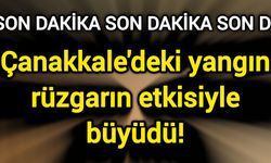 Çanakkale'deki yangın rüzgarın etkisiyle büyüdü!