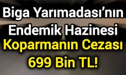 Biga Yarımadası’nın Endemik Hazinesi
