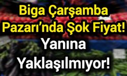 Biga Çarşamba Pazarı’nda Şok Fiyat! Yanına Yaklaşılmıyor!