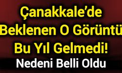Çanakkale’de Beklenen O Görüntü Bu Yıl Gelmedi! Nedeni Belli Oldu