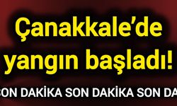Çanakkale’de yangın başladı!