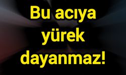 Bu acıya yürek dayanmaz!