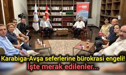 Karabiga-Avşa seferlerine bürokrasi engeli! İşte merak edilenler...
