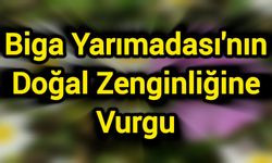 Biga Yarımadası'nın Doğal Zenginliğine Vurgu