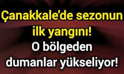Çanakkale'de sezonun ilk yangını! O bölgeden dumanlar yükseliyor!