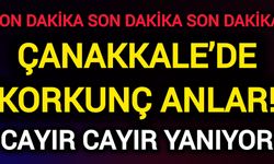 Çanakkale’de Korkunç Anlar! Cayır cayır yanıyor