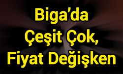 Biga’da Çeşit Çok, Fiyat Değişken