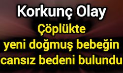 Çöplükte yeni doğmuş bebeğin cansız bedeni bulundu