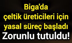 Biga'da çeltik üreticileri için yasal süreç başladı: Zorunlu tutuldu!