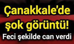 Çanakkale'de şok görüntü! Feci şekilde can verdi