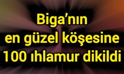 Biga’nın en güzel köşesine 100 ıhlamur dikildi