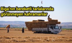 Biga’nın bereketli tarlalarında görünmeyen kahramanlar