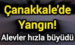 Çanakkale'de Yangın! Alevler hızla büyüdü