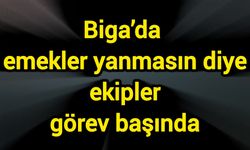 Biga’da emekler yanmasın diye ekipler görev başında