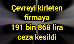 Çevreyi kirleten firmaya 191 bin 868 lira ceza kesildi