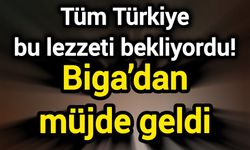 Tüm Türkiye bu lezzeti bekliyordu! Biga’dan müjde geldi
