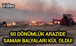 60 dönümlük arazide saman balyaları kül oldu!