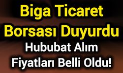 Biga Ticaret Borsası Duyurdu: Hububat Alım Fiyatları Belli Oldu!