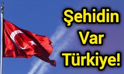 Şehidin Var Türkiye!