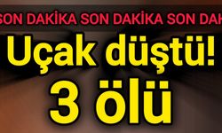 Son Dakika: Uçak düştü! 3 ölü