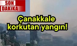 Çanakkale korkutan yangın!