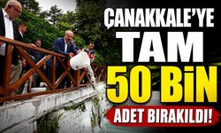 Çanakkale’ye tam 50 bin adet bırakıldı!