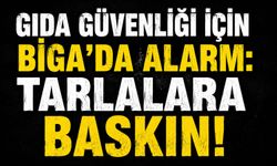 Gıda güvenliği için Biga'da alarm: Tarlalara baskın!