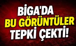 Biga'da bu görüntüler tepki çekti!