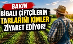Bigalı Çiftçilerin Tarladaki Sadık Misafirleri!