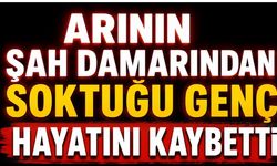 Arının Şah Damarından Soktuğu Genç Hayatını Kaybetti