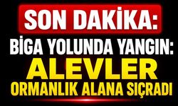 SON DAKİKA: Biga Yolunda Yangın: Alevler Ormanlık Alana Sıçradı