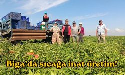 Biga’da sıcağa inat üretim!